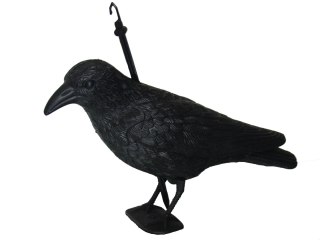 KRUK ODSTRASZACZ GOŁĘBI I INNYCH PTAKÓW - ŚREDNI