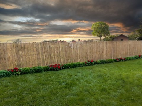 MATA OSŁONOWA BAMBUSOWA 1,8X5M