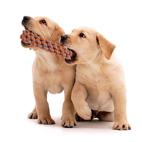 ZESTAW SZARPAKÓW DLA PSA SPANKY 5 ELEMENTÓW