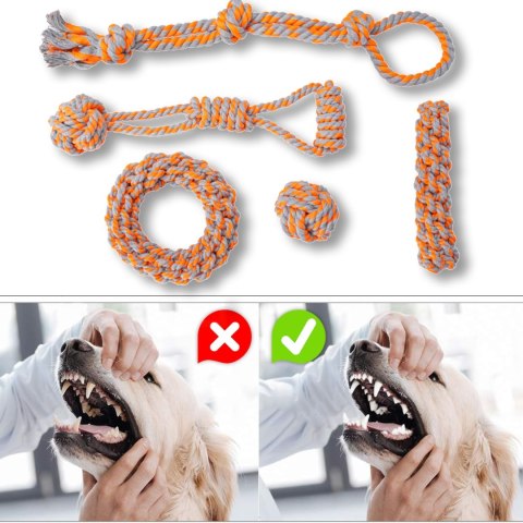 ZESTAW SZARPAKÓW DLA PSA SPANKY 5 ELEMENTÓW