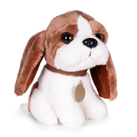 Pluszowy piesek w torebce beagle maskotka dla dziecka + szczotka do pielęgnacji