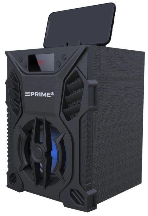 GŁOŚNIK PRZENOŚNY Z FUNKCJĄ KARAOKE VICE APS11