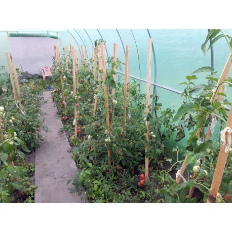 Tunel foliowy - szklarnia ogrodowa - 3x8 m