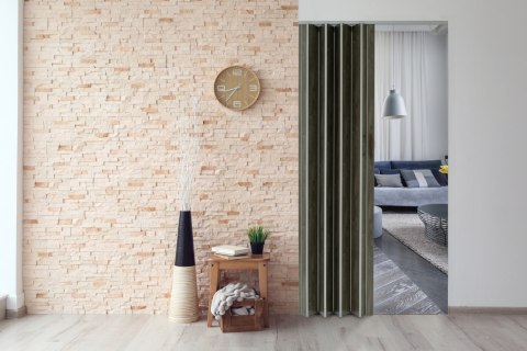 DRZWI HARMONIJKOWE 001P DĄB GRAFIT MAT 100 CM