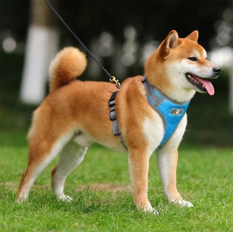 SZELKI TRENINGOWE SPACEROWE DLA PSA ASTRO BŁĘKITNE ROZMIAR XL