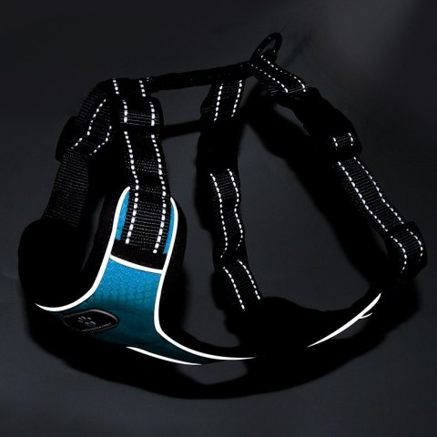 SZELKI TRENINGOWE SPACEROWE DLA PSA ASTRO BŁĘKITNE ROZMIAR XL