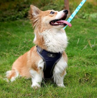 SZELKI TRENINGOWE SPACEROWE DLA PSA ASTRO GRANATOWE ROZMIAR M