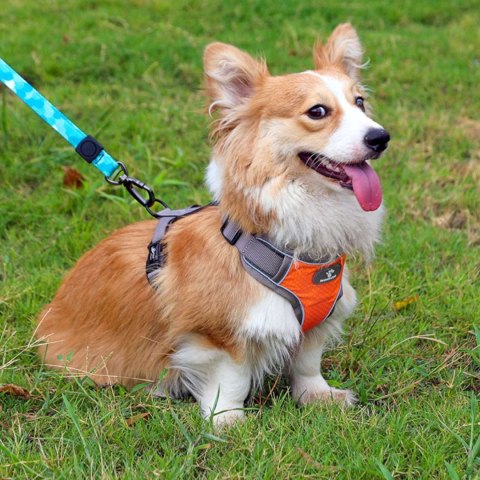 SZELKI TRENINGOWE SPACEROWE DLA PSA ASTRO POMARANCZOWE ROZMIAR M