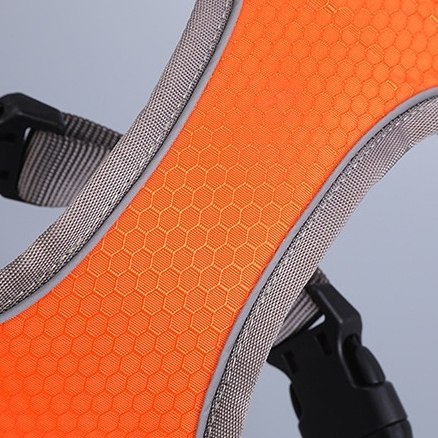 SZELKI TRENINGOWE SPACEROWE DLA PSA ASTRO POMARANCZOWE ROZMIAR M