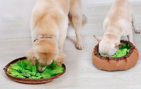 MATA WĘCHOWA NA PRZYSMAKI SNIFFER ROZKŁADANA ZIELONA