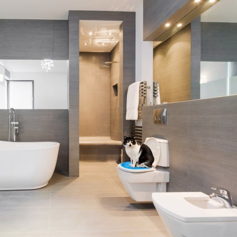 NAKŁADKA NA TOALETĘ DLA KOTA NILS NIEBIESKA