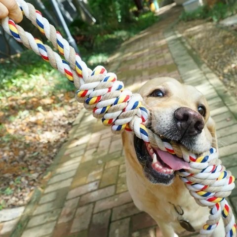 ZABAWKA SZARPAK Z SUPŁAMI WALLY 60 CM