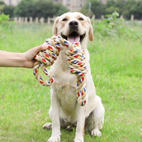 ZABAWKA SZARPAK Z SUPŁAMI WALLY 60 CM