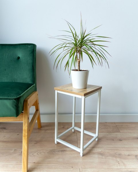 KWIETNIK BIAŁY ARBEN CRAFT 40 CM