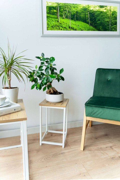 KWIETNIK BIAŁY ARBEN CRAFT 40 CM