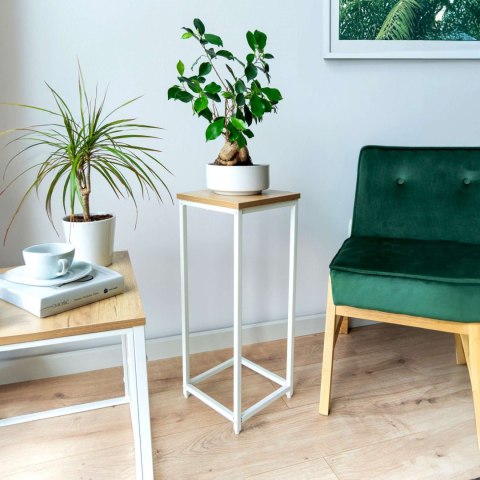 KWIETNIK BIAŁY ARBEN CRAFT 60 CM