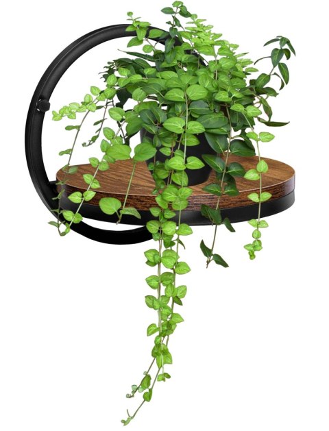 KWIETNIK METALOWY ŚCIENNY CZARNY EBRO RUSTIC LOFT